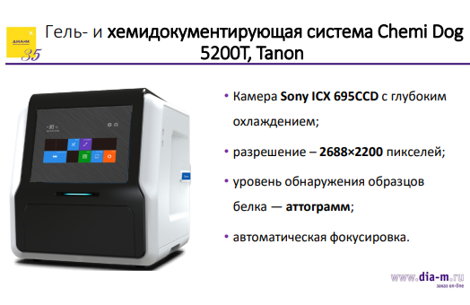 Всё необходимое для ПЦР и агарозного гель-электрофореза: современный взгляд на практику молекулярной биологии Всё необходимое для ПЦР и агарозного гель-электрофореза: современный взгляд на практику молекулярной биологии