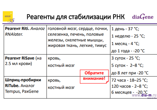 Всё необходимое для ПЦР и агарозного гель-электрофореза: современный взгляд на практику молекулярной биологии Всё необходимое для ПЦР и агарозного гель-электрофореза: современный взгляд на практику молекулярной биологии