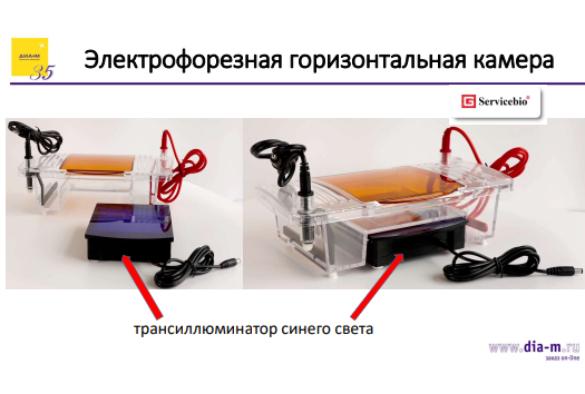 Всё необходимое для ПЦР и агарозного гель-электрофореза: современный взгляд на практику молекулярной биологии Всё необходимое для ПЦР и агарозного гель-электрофореза: современный взгляд на практику молекулярной биологии