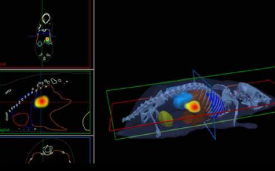Оптическая томография как доклинический метод визуализация процессов in-vivo в организме мышей и крыс. Примеры применения Newton в исследованиях в онкологии, фармакологии, наномедицины.