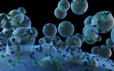 Выделение и анализ экзосом