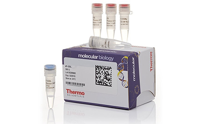 Реактивы Thermo FS для молекулярно-биологических исследований в небольших фасовках от 350 руб! Количество ограничено.