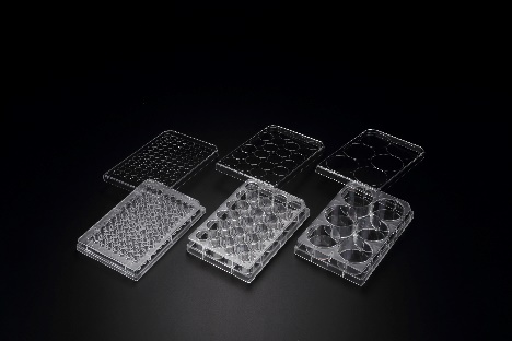 Планшеты культуральные 24-луночные, 3D, с низкой адгезией, Cell Floater, 1 уп./5 шт., SPL