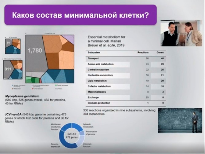 состав минимальной клетки.jpg состав минимальной клетки.jpg