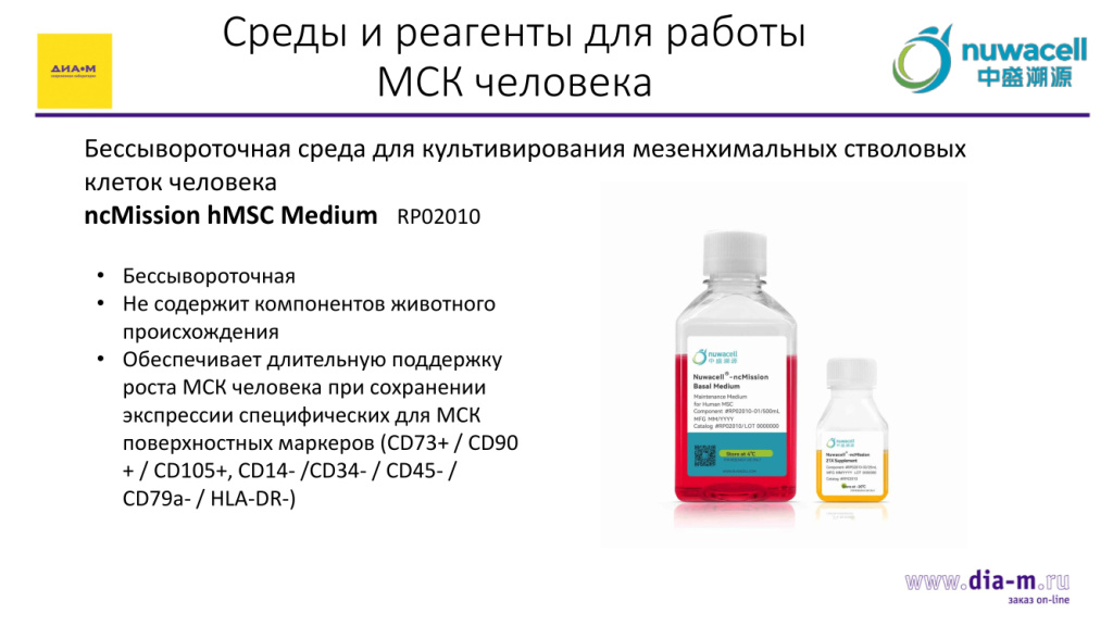 Среды и реагенты для работы с мезенхимальными стволовыми клетками человека