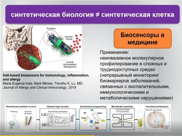 синтетическая биология и синтетическая клетка.jpg синтетическая биология и синтетическая клетка