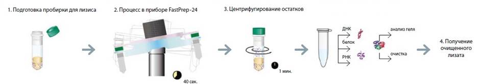 подготовка.jpg