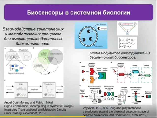 Биосенсоры в системной биологии.jpg Биосенсоры в системной биологии