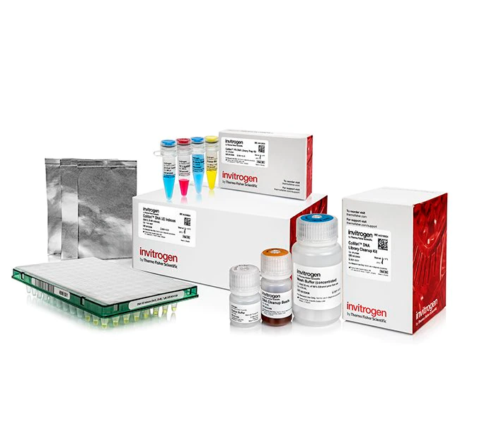 Набор Collibri Stranded RNA Library Prep Kit для подготовки библиотек РНК для системы Illumina, Invitrogen