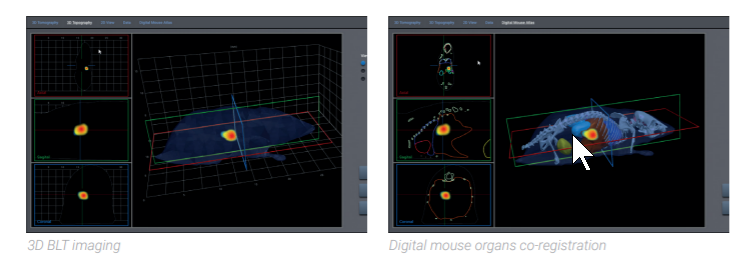 3D.png