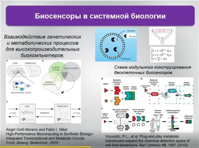 Биосенсоры в системной биологии.jpg Биосенсоры в системной биологии