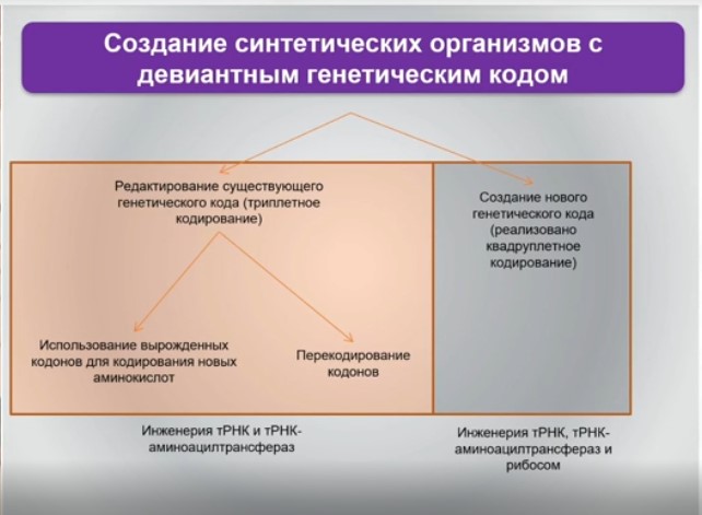создание синтетических организмов с девиантным генетическим кодом.jpg создание синтетических организмов с девиантным генетическим кодом