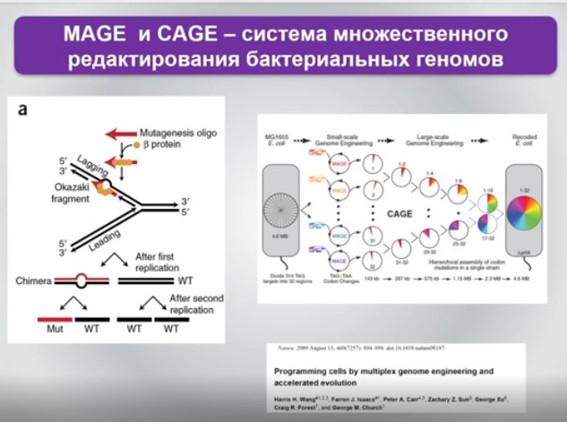 Mage и Cage.jpg Mage и Cage