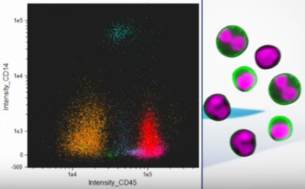 Amnis_dots_images.PNG