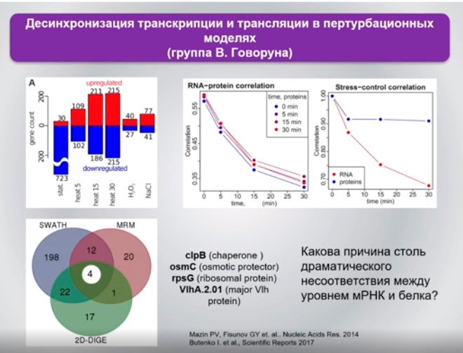 десинхронизация транскрипции и трансляции в пертурбационных моделях.jpg десинхронизация транскрипции и трансляции в пертурбационных моделях.jpg