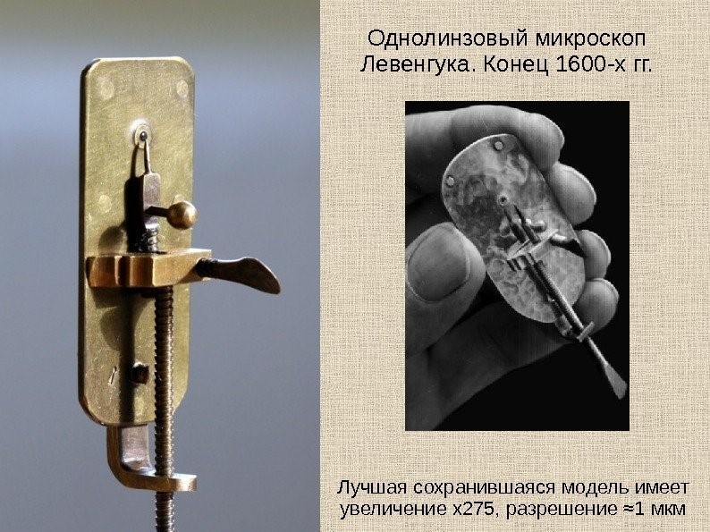 Микроскоп Левенгука