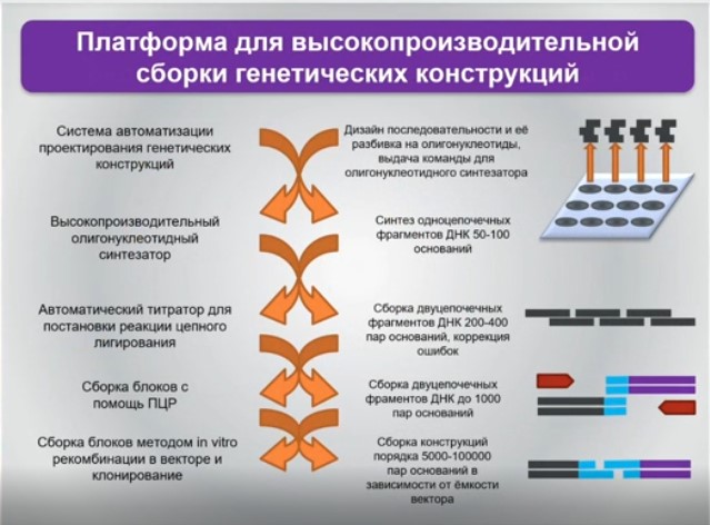 платформа для высокопроизводительной сборки генетических конструкций.jpg платформа для высокопроизводительной сборки генетических конструкций