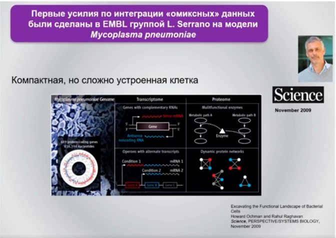mycoplasma pneumoniae.jpg mycoplasma pneumoniae