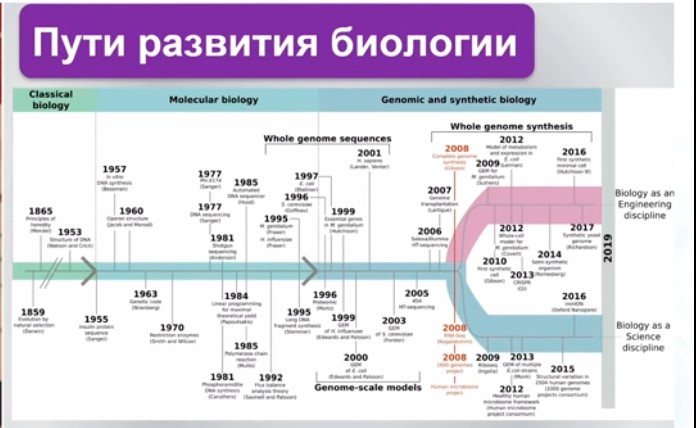 Пути развития биологии.jpg процесс развития биологии