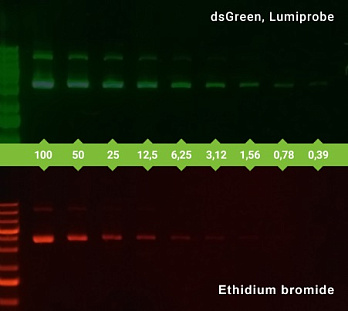 Краситель dsGreen раствор для прокраски гелей, 10000x, 1 мл, Lumiprobe