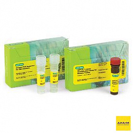 Набор ddPCR Library Quantification Kit for Illumina TruSeq, 200х20 мкл