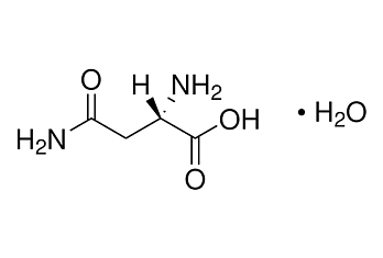 Аспарагин-L моногидрат, 99,0-101,0 %, pure EP pharma grade, 100 г, NeoFroxx, Германия