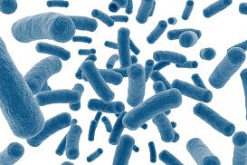 Пептон дрожжевой, аминный азон ≥ 2,5%, (FP103)