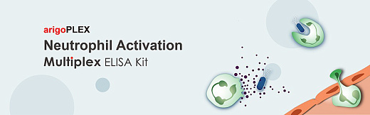 Набор ИФА arigoPLEX Human CTL / NK Activation (Perforin, Granzyme B, IFN-γ, TNF-α), 96 тестов, Arigobio, Китай