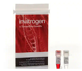 Эндонуклеаза рестрикции Anza 11 EcoRI, Thermo FS