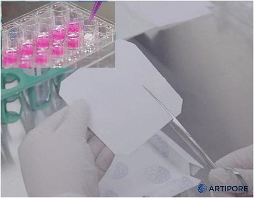 Биосовместимая микроволокнистая подложка на основе гидрогеля MicroFibers