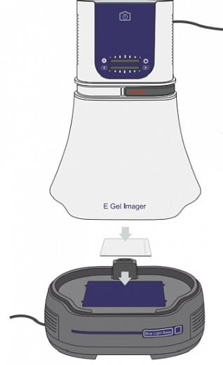 Гельдокументирующая система E-Gel Imager with E-Gel Adaptor Фото 2