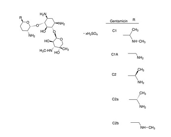 Гентамицин сульфат, для биохимии, 25 г, Neofroxx, Германия