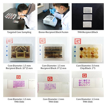 Ручка-панчер для тканевых матриц разного диаметра