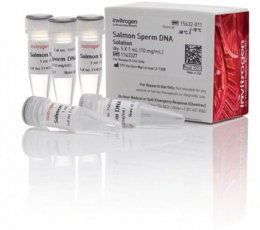 Раствор ДНК спермы лосося/Salmon Sperm DNA Solution