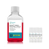 Набор для дифференцировки hPSC в нефроны hPSC-Nephron Differentiation Kit
