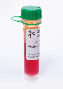 Краситель ProteOrange Protein Gel Stain, 5000×, 100 мкл, Lumiprobe